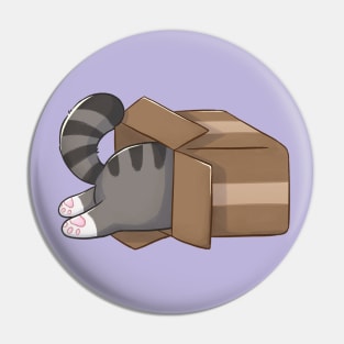 Cute And Funny Tabby Cat In A Box Pin