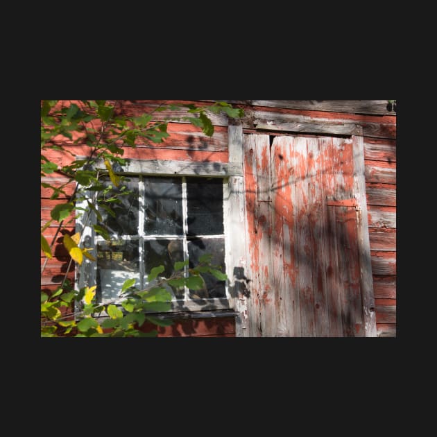 barn window and door by sma1050
