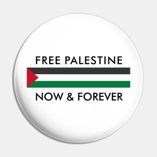 Palestine forever Pin