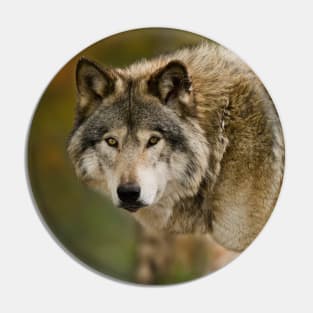 Gray Wolf Pin