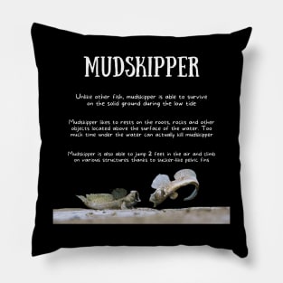 Animal Facts - Mudskipper Pillow