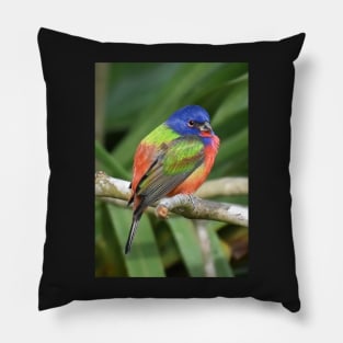 Painted Bunting Bird on Branch Pillow