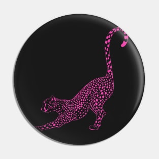 hot pink cheetah preppy aesthetic Pin