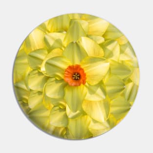 The Power of Yellow Flower Petals Pin