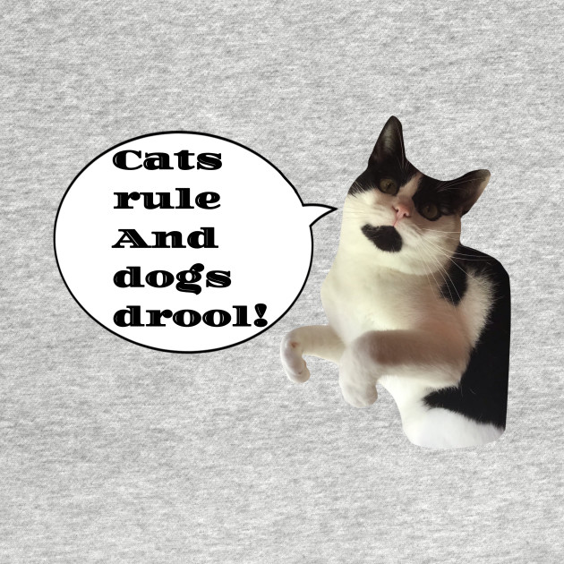Cats Rule And Dogs Drool Cats T Shirt Teepublic