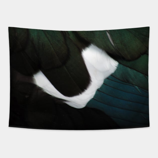 Russian Goose Plumage Texture Tapestry by oknoki