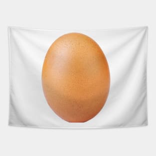 World record egg from instagram Tapestry