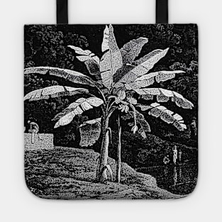 Banana tree with bunch of bananas noir landscape Tote