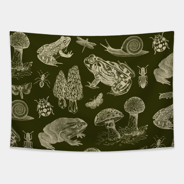 Goblincore Aesthetics: Vintage Biology Exploration with Frog, Mushroom, Snail, Moths and Insects Tapestry by Ministry Of Frogs