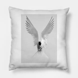 Common Tern Pillow