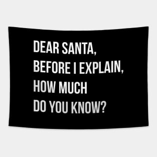 DEAR SANTA BEFORE I EXPLAIN HOW MUCH DO YOU KNOW Tapestry