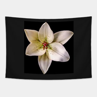 Eyeliner Lily on Black Tapestry