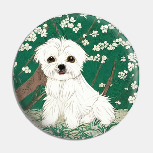 Cute Malshi Dog Shih Tzu Maltese Crusty White Dog Puppy in Garden Pin by Mochabonk