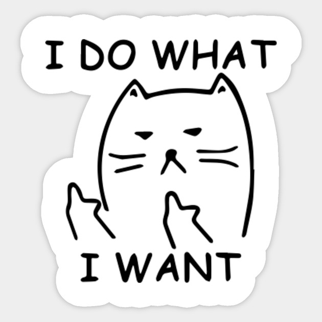 Funny Cat I Do What I Want With My Cat I Do What I Want With My