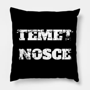 TEMET NOSCE (KNOW THYSELF) Pillow