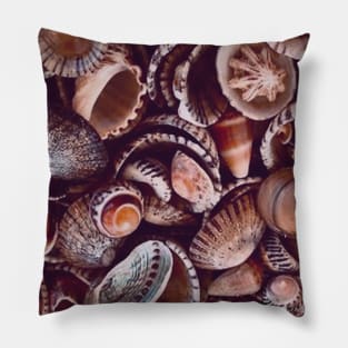 Natural Seashells Pillow