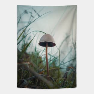 poisonous mushroom Tapestry