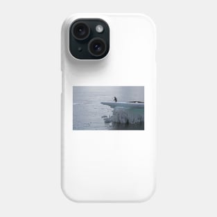 Adelie penguin at Brown Bluff Phone Case