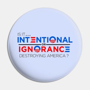 Destroying America Pin