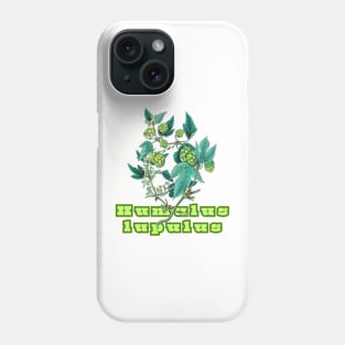 Hops. Humulus lupulus Phone Case