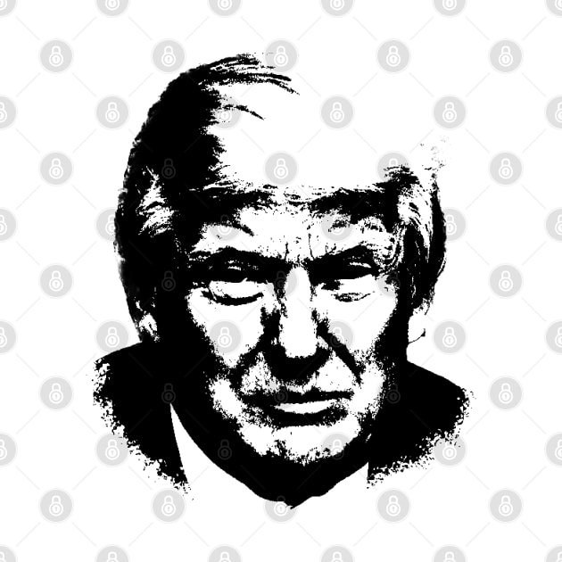 Donald Trump Portrait Pop Art by phatvo