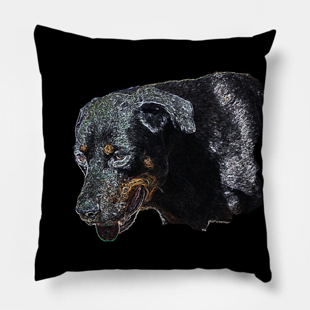 rottweiler Pillow by rickylabellevie