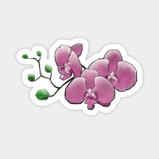 pink orchid flowers Magnet