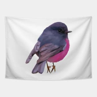 Fat, fluffy Pink Robin, absolutely gorgeous little Australian bird. Tapestry