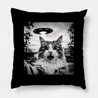 Cat Pillow