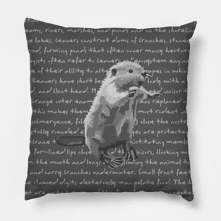 Beaver Info Pillow