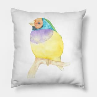 Gouldian finch watercolor portrait Pillow