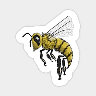 Cute little wasp Magnet