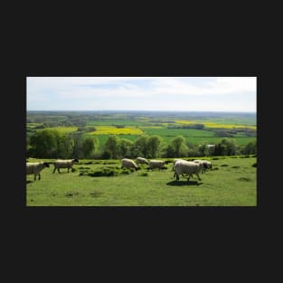 Sheep Trotting Along a Hilltop During Spring T-Shirt