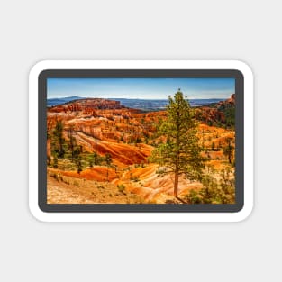 Bryce Canyon National Park Magnet