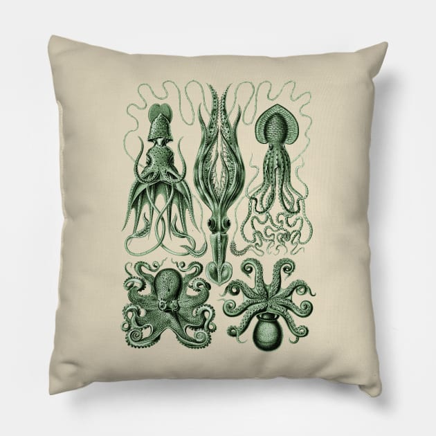 Ernst Haeckel Gamochonia Octopus Green Pillow by Scientistudio