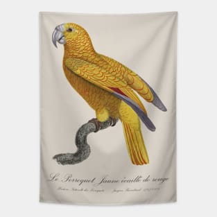 Le Perroquet Jaune Ecaille de Rouge Parrot - 19th century Jacques Barraband Illustration Tapestry