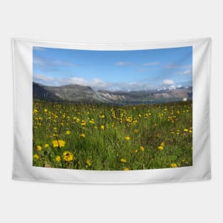 Snaefellsnes Peninsula Iceland Tapestry