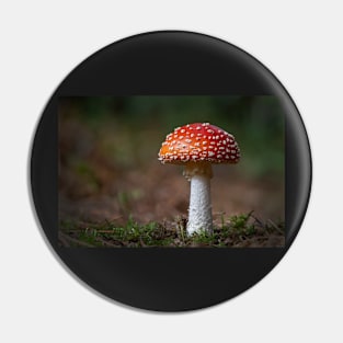 Fly Agaric Toadstool Pin