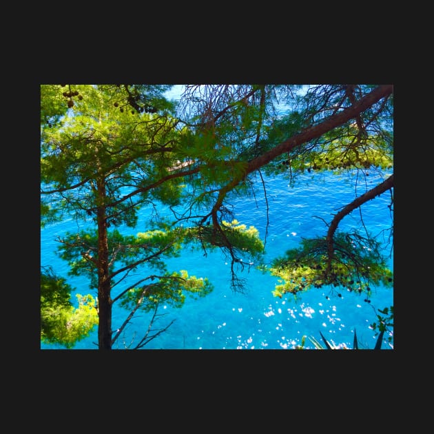 Trees & Ocean by ephotocard