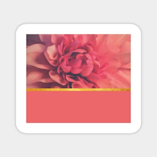 Beautiful pink flower composition Magnet