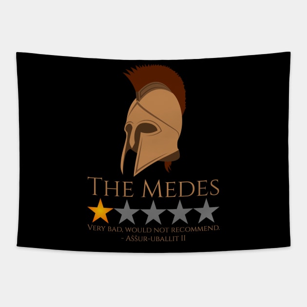 History Meme - The Medes - Iron Age Assyrian Empire Tapestry by Styr Designs