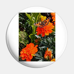 The Small Tortoiseshell Butterfly on a Marigold Pin