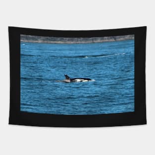 Killer Whale breaching the surface Tapestry