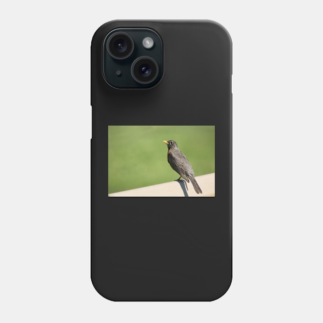 Robin Of Raymore Phone Case by EugeJ