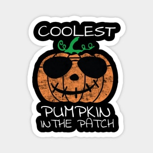 Coolest Pumpkin In The Patch Halloween Magnet