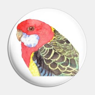 Eastern rosella watercolor - bird portrait painting Pin