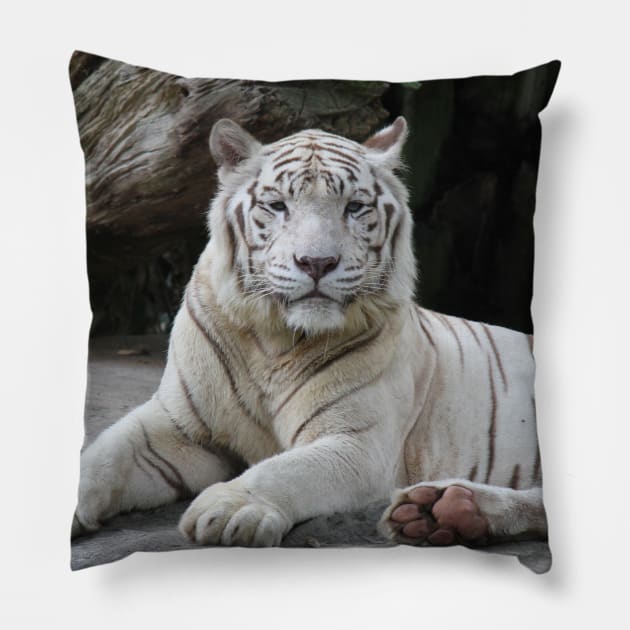 White Tiger 3 Pillow by LeanneAllen