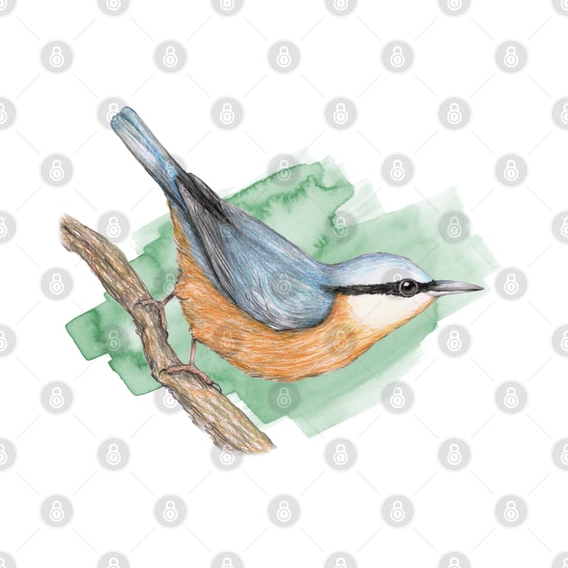 Nuthatch by Bwiselizzy