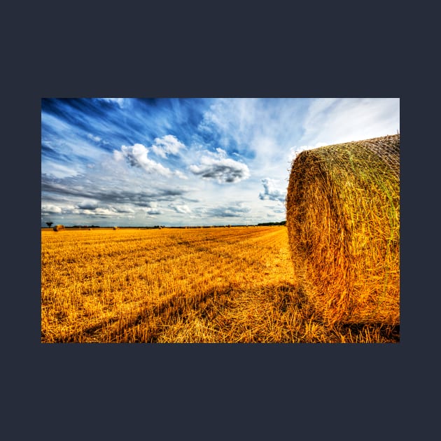 Freshly Cut Straw Field, Lincolnshire Wolds by tommysphotos