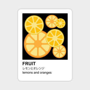 Fruit Color Sample Magnet